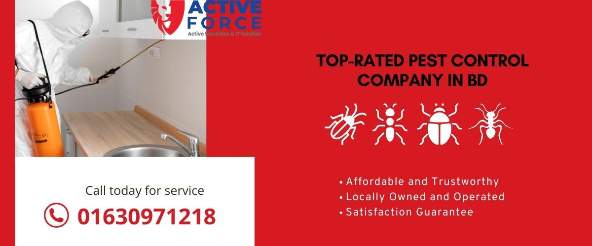Affordable Pest Control Service in BD - Effective & Reliable